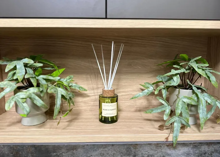 Premium Zamkowa B21 * Tczew